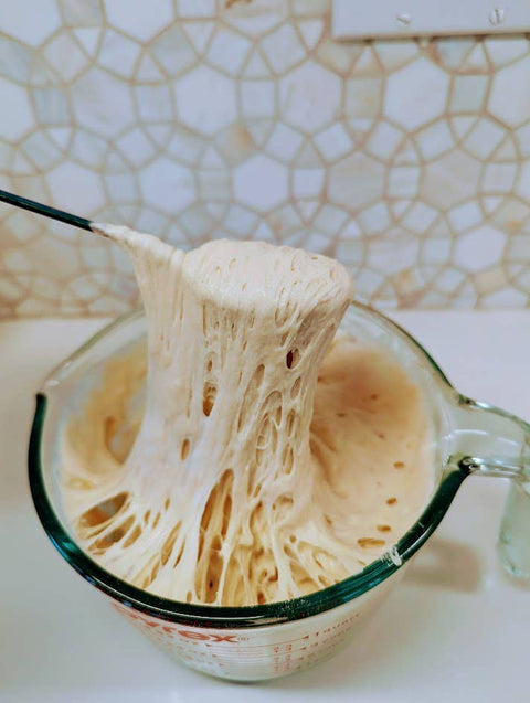 Sourdough Starter | Freeze Dried | San Francisco Style 12gm (My Rustic Roots)