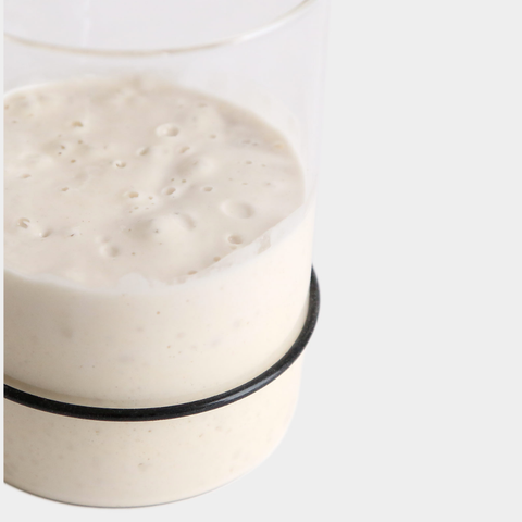 Sourdough Starter Kit (Breadtopia)