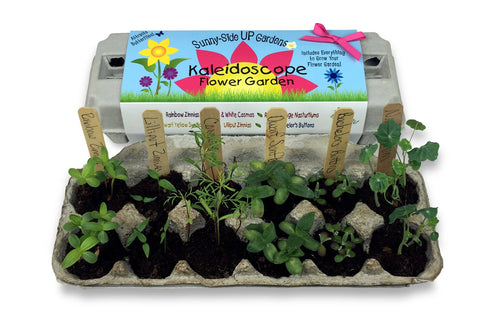 Kaleidoscope Flower Garden Grow Kit (Backyard Safari Company)