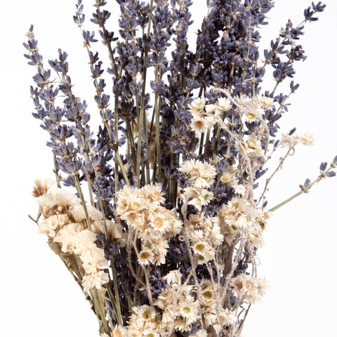 Lavender & Wildflower Bundle (Andaluca)