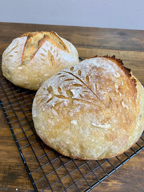 Sourdough Starter | Freeze Dried | San Francisco Style 12gm (My Rustic Roots)