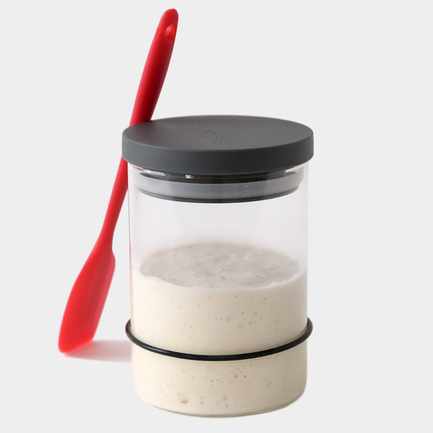 Sourdough Starter Kit (Breadtopia)