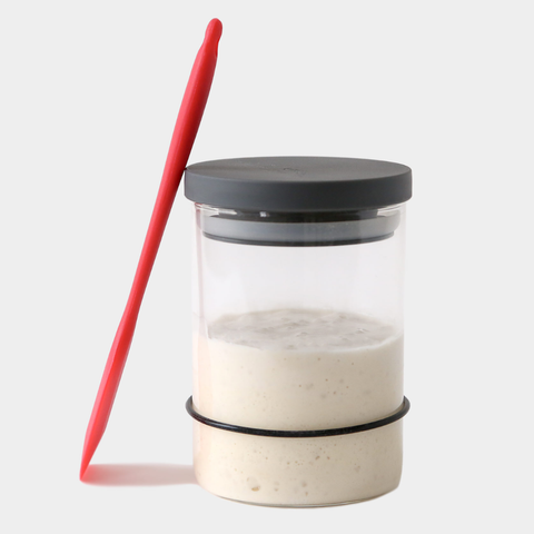 Sourdough Starter Kit (Breadtopia)