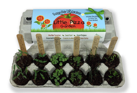Little Pizza Garden Grow Kit (Backyard Safari Company)