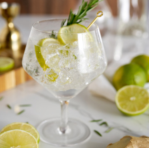 Raye Stemmed Angled Crystal Gin & Tonic Glasses - Set of 2 (Viski)