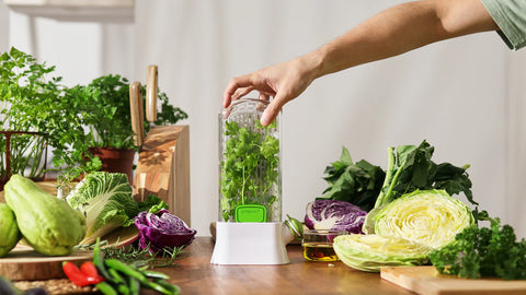 Herb Savor Original (Prepara)