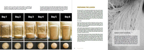 Sourdough Mania (Cookbook)