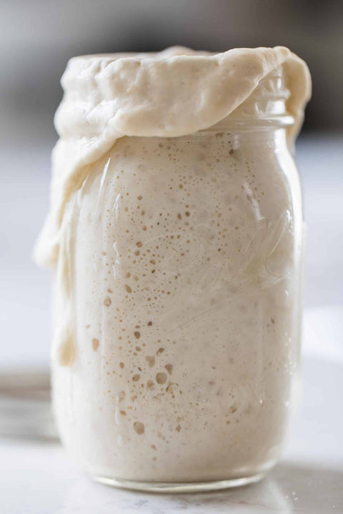 Sourdough Starter | Freeze Dried | San Francisco Style 12gm (My Rustic Roots)