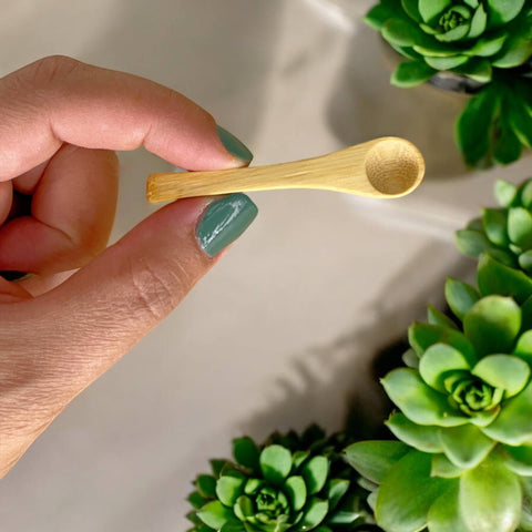 Mini Bamboo Salt Spoon Kitchen (Bamboo Switch)