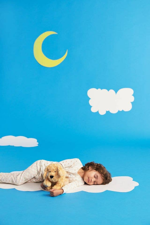 Golden Dog Stuffy (Warmies)