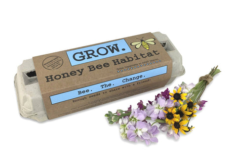 Honey Bee Habitat Grow Kit (Backyard Safari Company)