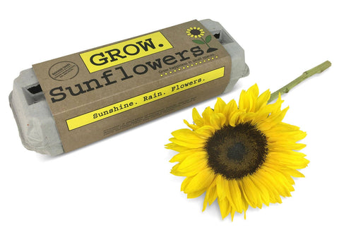 Sunflower Garden Grow Kit (Backyard Safari Company)