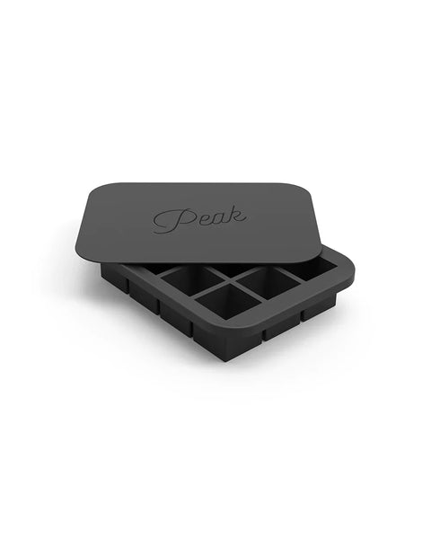 Everyday Ice Tray 12 Cubes Charcoal (W & P Design)