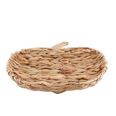 Pumpkin Tray: Hyacinth (Santa Barbara)