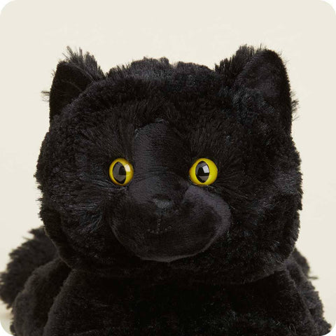 Black Cat (Warmies)