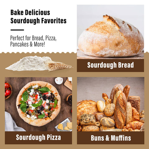 Organic Sourdough Starter (My Rustic Roots)