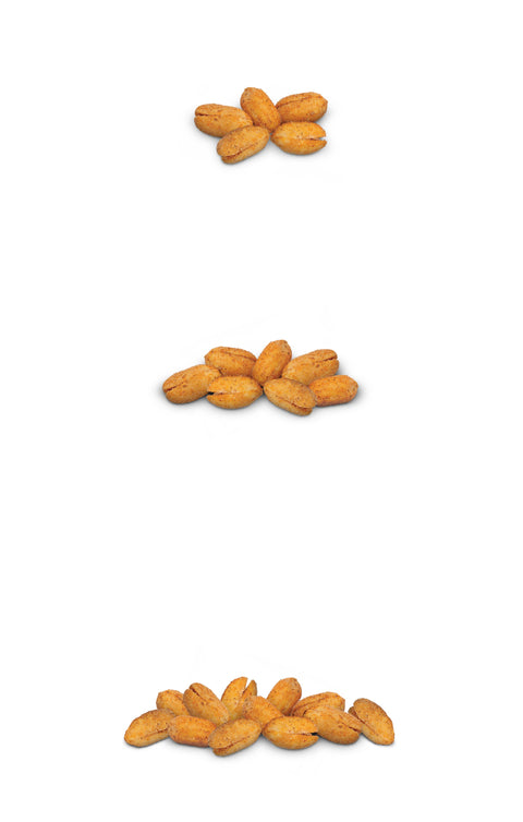 9 oz Old Bay Seasoned Peanuts (Virginia Diner)