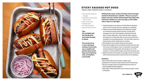 The Camping Cookbook (Cookbook)