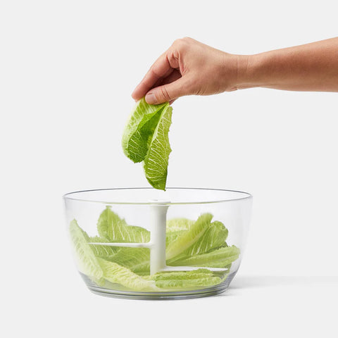 Salad Chopper & Spinner (Chefn)