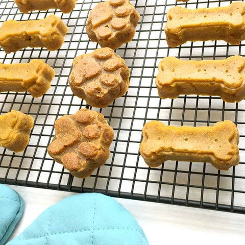Paw Print Pet Treat Silicone Mold (More Than Baking)