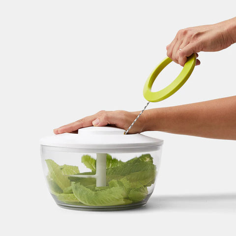 Salad Chopper & Spinner (Chefn)