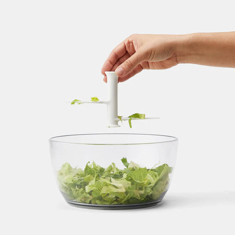 Salad Chopper & Spinner (Chefn)
