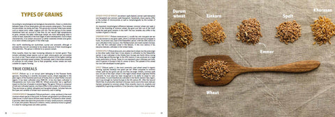 Sourdough Mania (Cookbook)